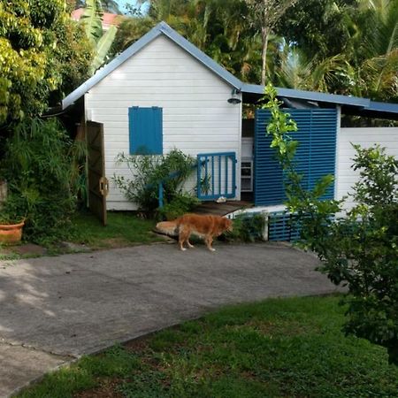 Mariposa Villa Sainte-Rose Exterior photo